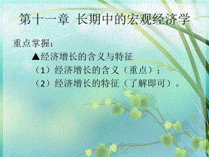 第11章长期中的宏观经济学课件.ppt