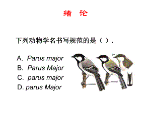 普通动物学课件.ppt