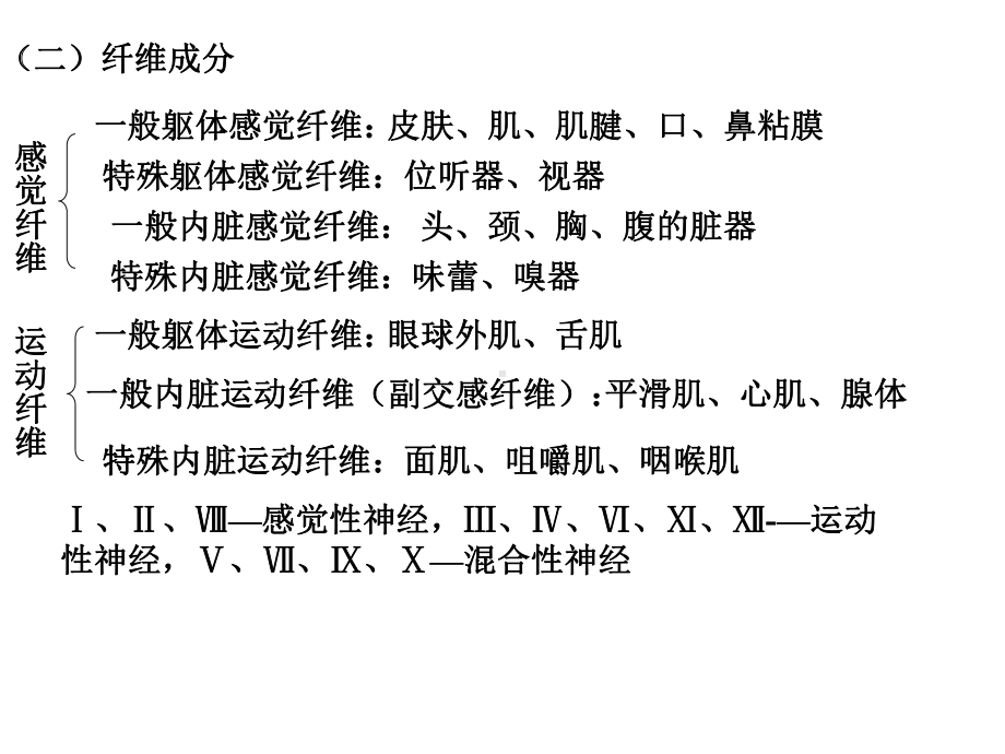 系统解剖学20脑神经课件.ppt_第3页