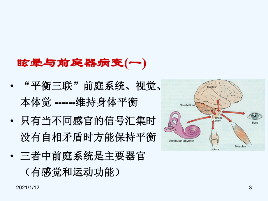 眩晕症与梅尼埃病课件.ppt_第3页