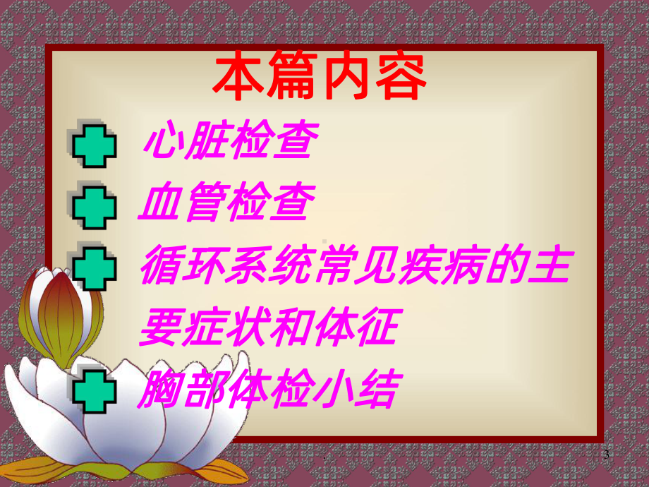 胸部检查心脏体检课件.ppt_第3页