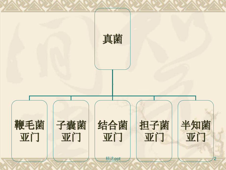 植物病原细菌课件.ppt_第2页