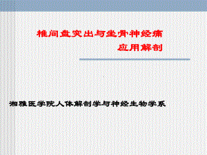 椎间盘突出与坐骨神经痛应用解剖(同名704)课件.ppt