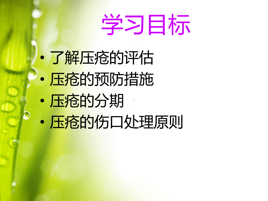 压疮的预防及治疗课件.ppt_第2页