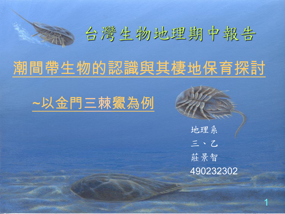 潮间带生物的认识与其栖地保育探讨以金门三棘鲎为例课件.ppt_第1页