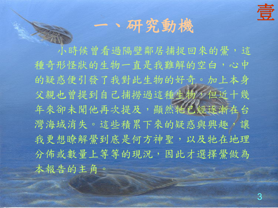 潮间带生物的认识与其栖地保育探讨以金门三棘鲎为例课件.ppt_第3页