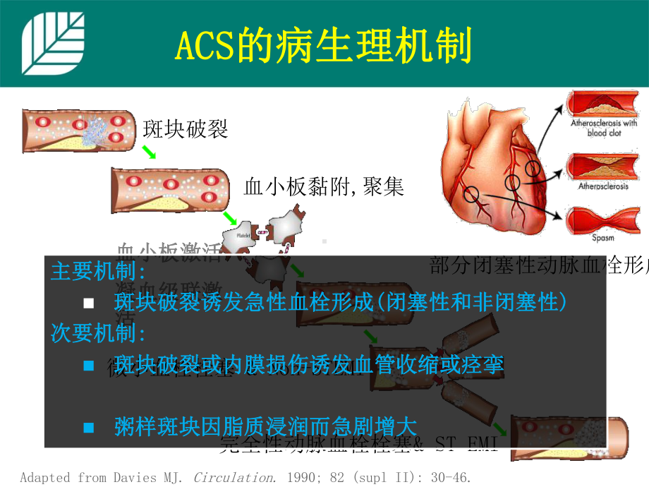 急性冠脉综合征抗凝治疗纤溶低分子肝素课件.ppt_第3页