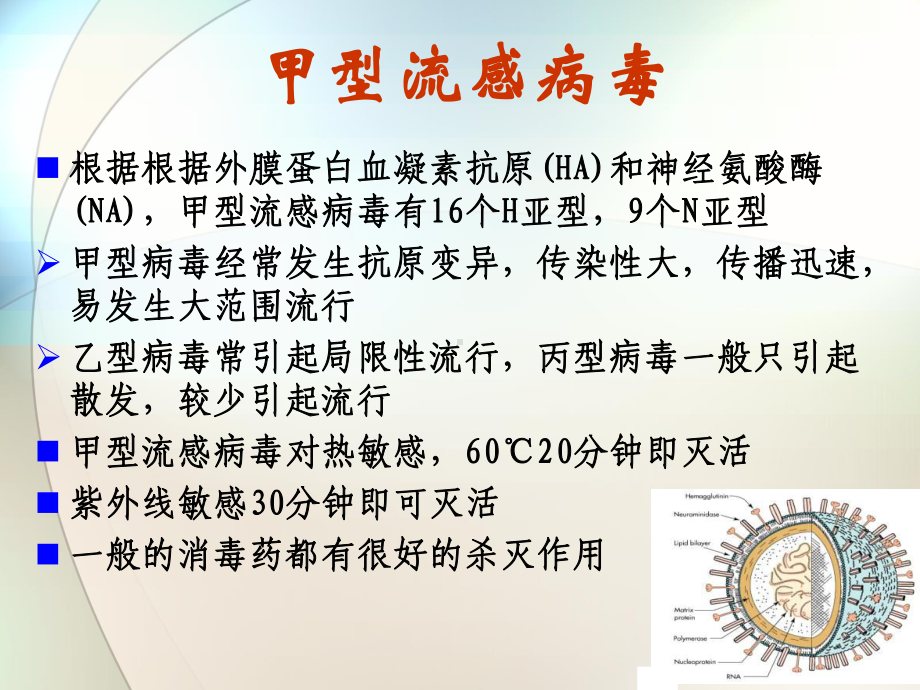 甲型H1N1流感防控主题班会课件.ppt_第3页