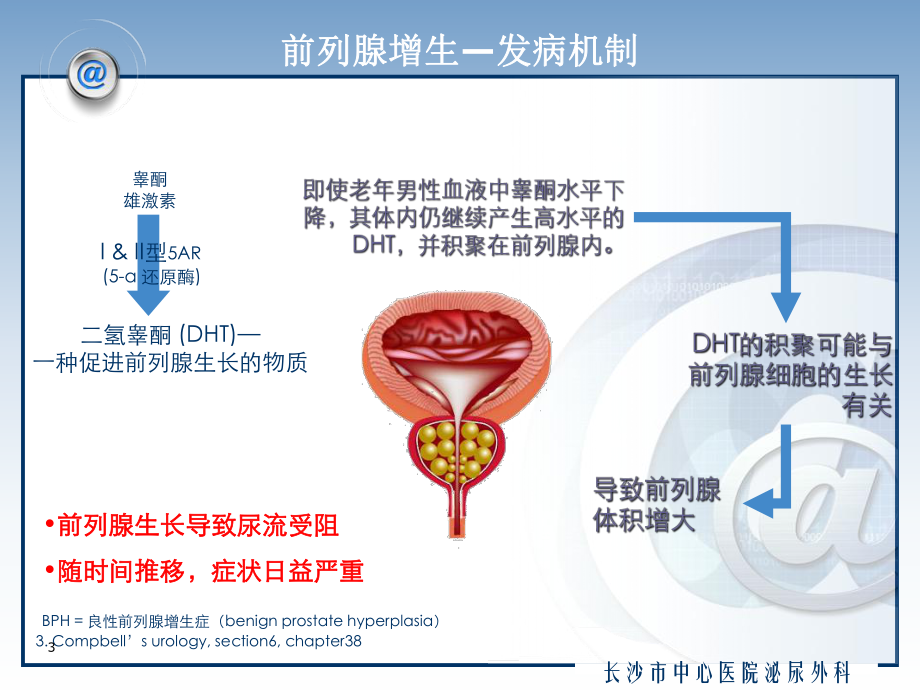 良性前列腺增生(中心医院)课件.ppt_第3页