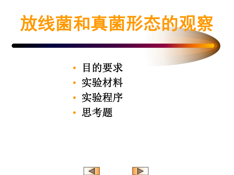 放线菌和真菌形态的观察课件.ppt_第2页