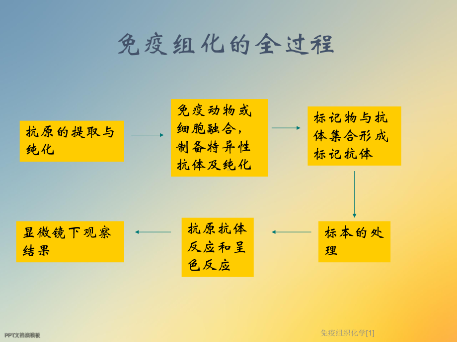 免疫组织化学[1]课件.ppt_第3页