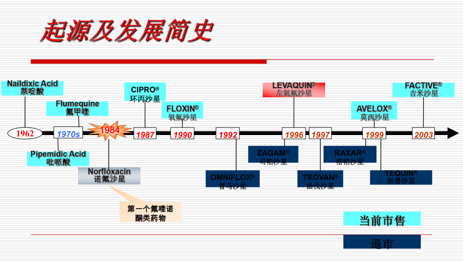 喹诺酮类抗菌药物汇总课件.ppt_第3页