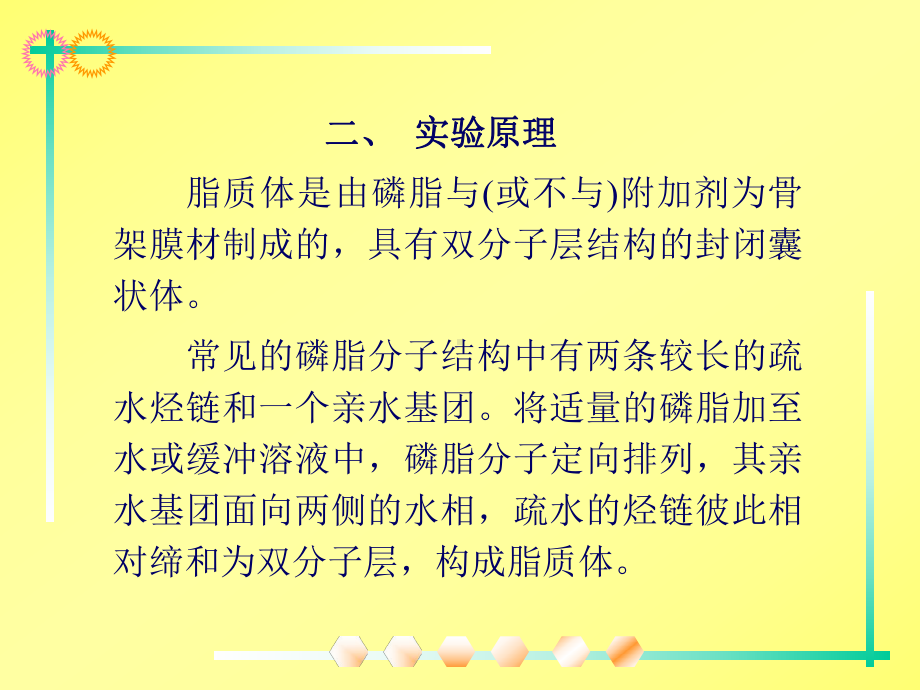 主动载药法制备盐酸小檗碱脂质体课件.ppt_第3页