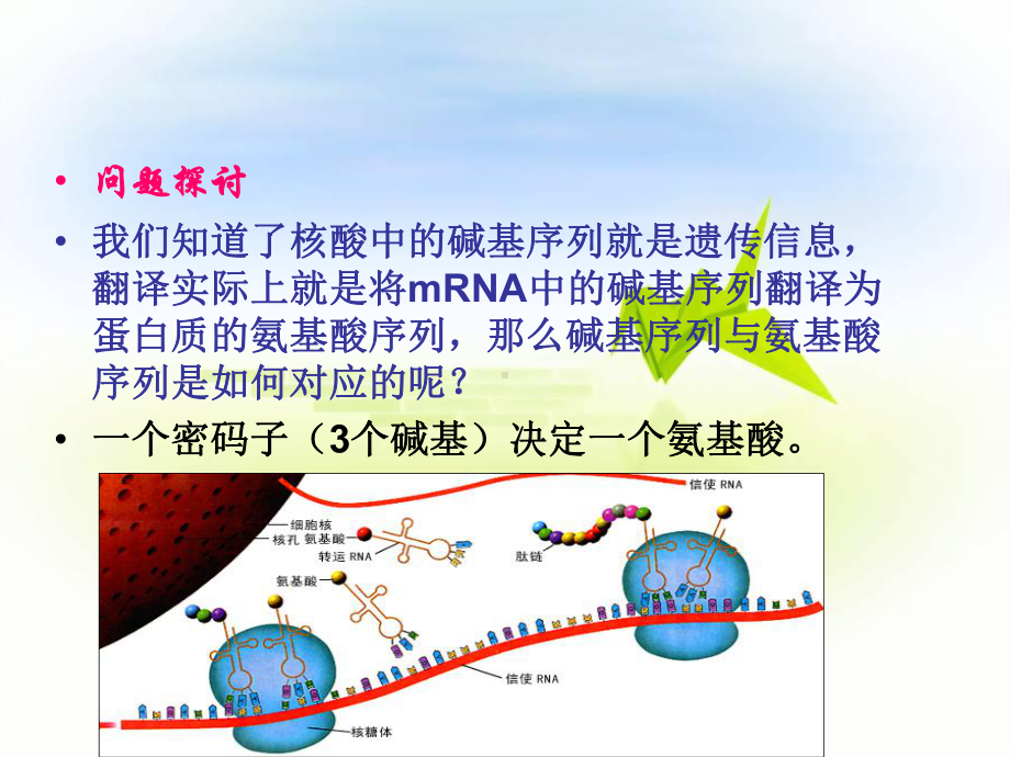 遗传密码的破译课件.ppt_第3页