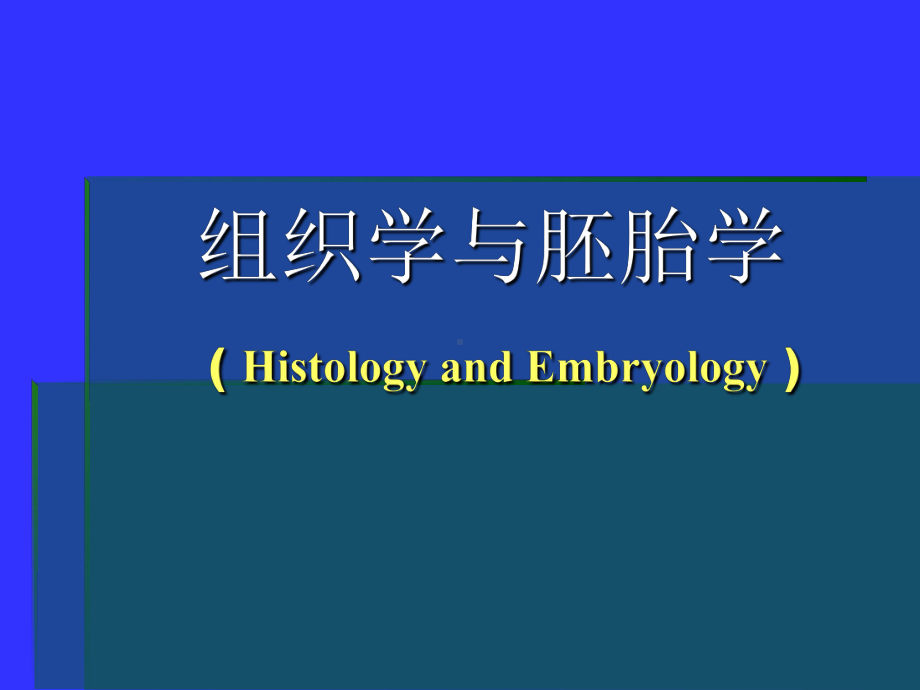 组织学与胚胎学神经 第七章 神经系统课件.ppt_第1页