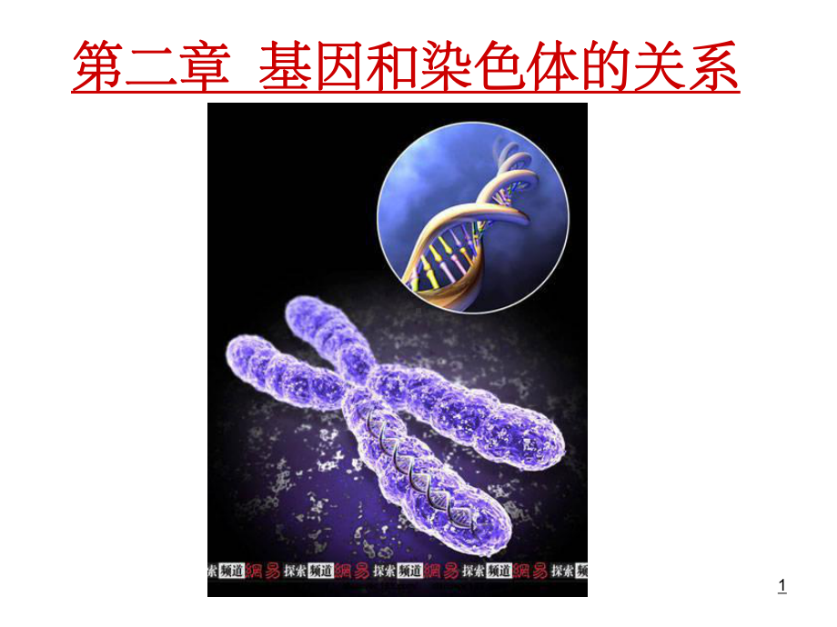 人教版教学课件必修2第2章第1节减数分裂和受精作用.ppt_第1页