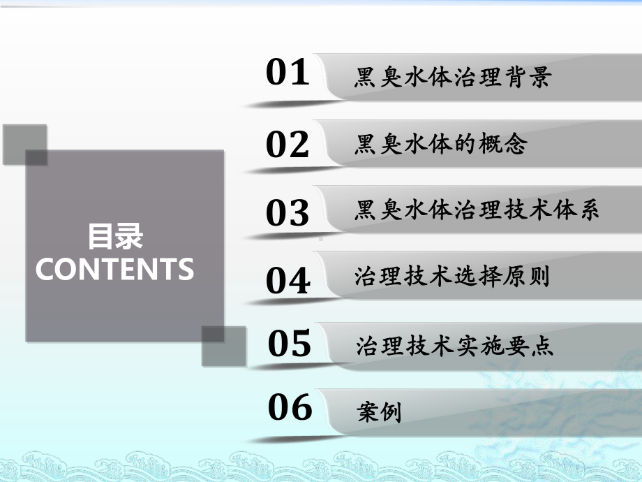 城市黑臭水体治理与水质长效改善保持技术分析课件.pptx_第2页