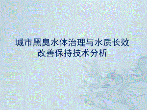 城市黑臭水体治理与水质长效改善保持技术分析课件.pptx