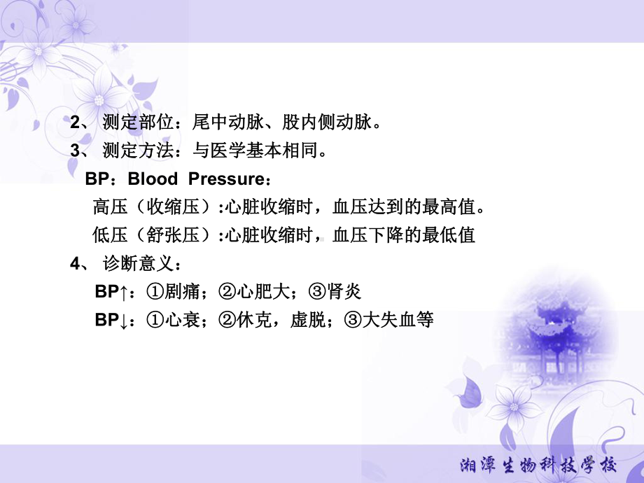 临床特殊器械检查课件.ppt_第3页