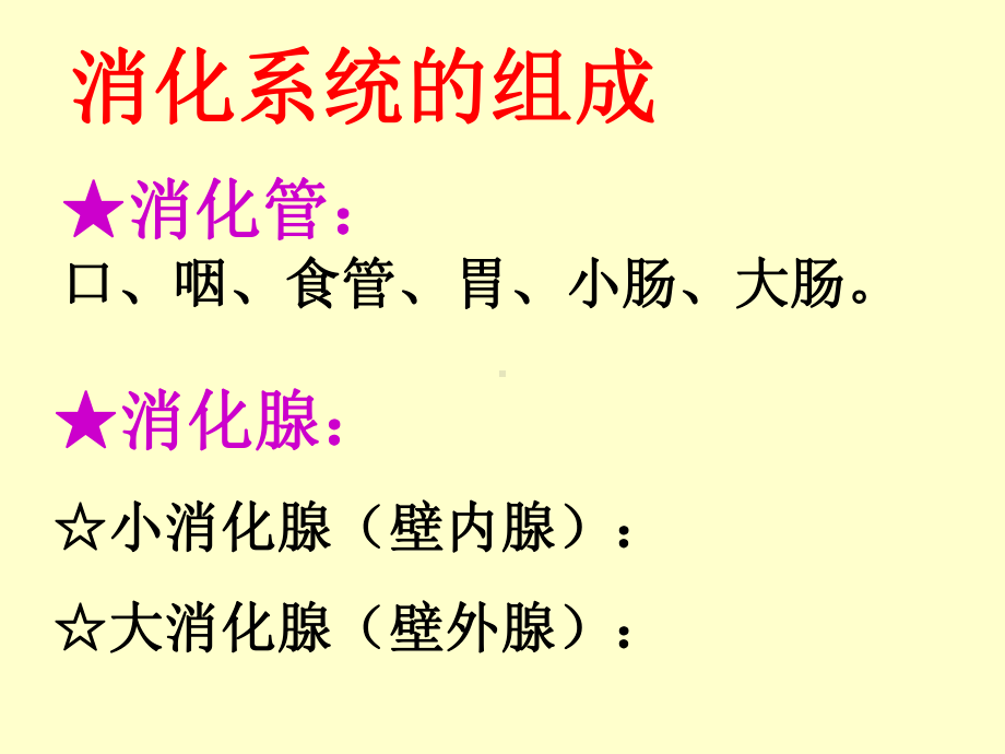 组织学与胚胎学消化管课件讲义.ppt_第2页