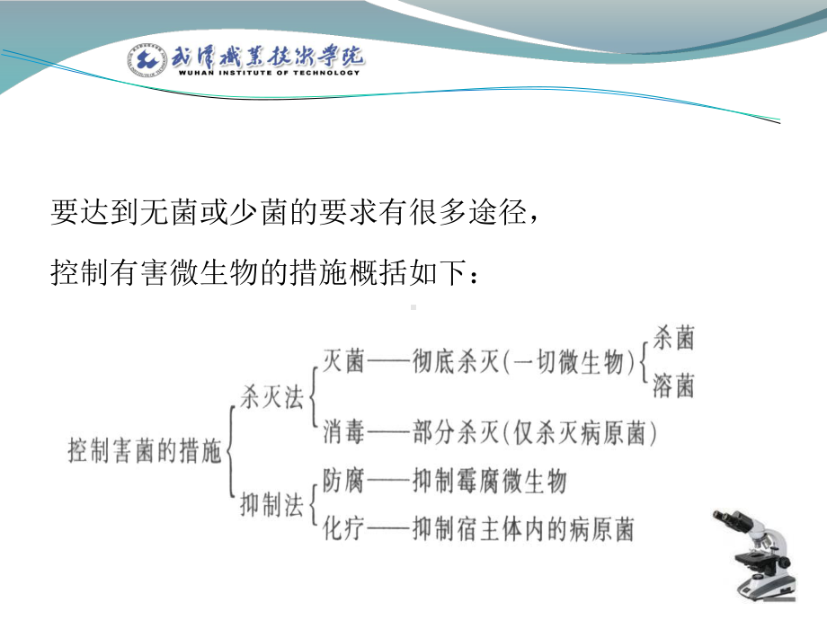 应用微生物技术课件.ppt_第3页