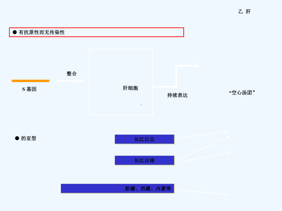 乙肝两对半的意义(同名784)课件.ppt_第3页