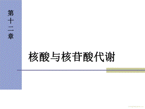 生物化学核酸与核苷酸代谢课件.ppt