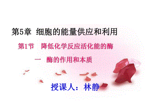 如果要加快化学反应速率课件.ppt