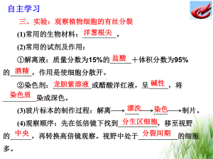 有丝分裂实验课件.ppt