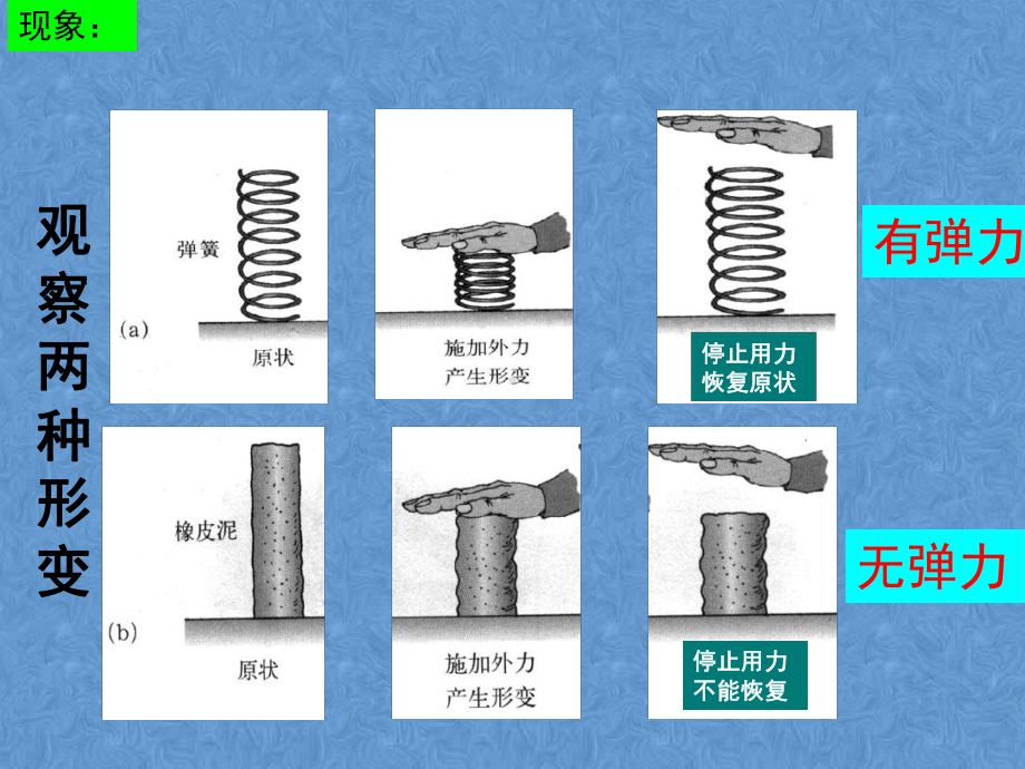 教科版初二下册73弹力弹簧测力计课件.ppt_第3页