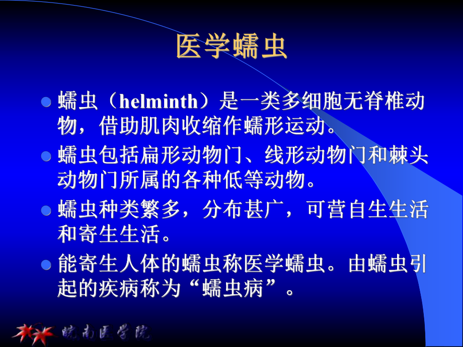 线虫概论、蛔虫、 鞭虫课件.ppt_第1页