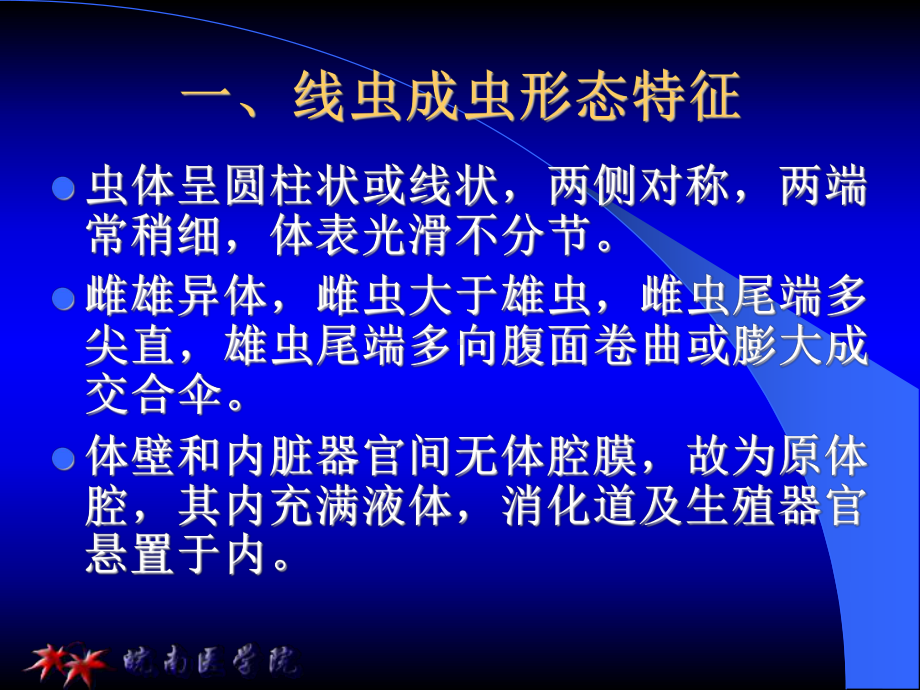 线虫概论、蛔虫、 鞭虫课件.ppt_第3页