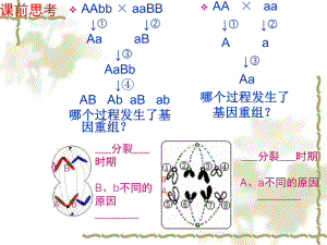 人教版教学课件染色体变异2.ppt