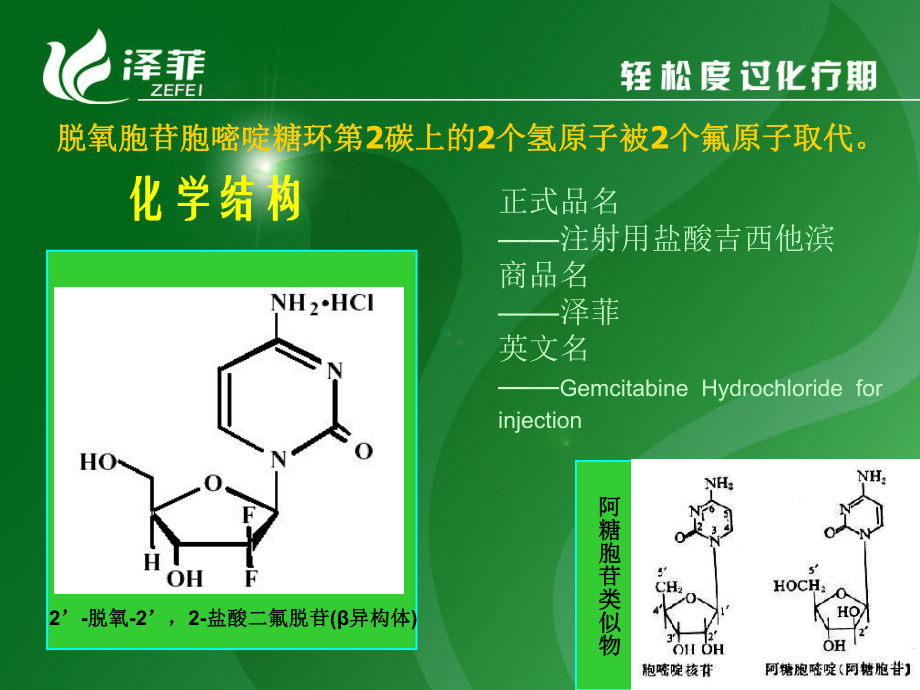 吉西他滨治疗非小细胞肺癌课件.ppt_第2页