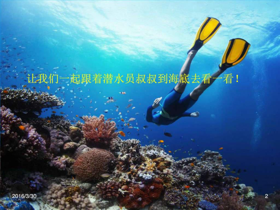 奇妙的海底世界课件.ppt_第2页