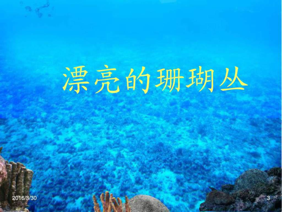 奇妙的海底世界课件.ppt_第3页