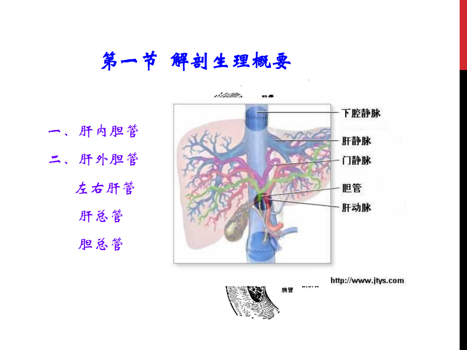 胆囊结石胆囊炎课件.ppt_第2页