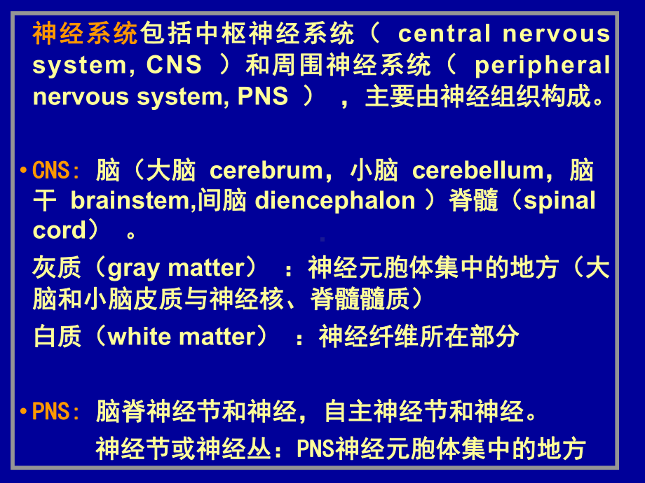 第8章神经系统 组织胚胎学课件.ppt_第3页