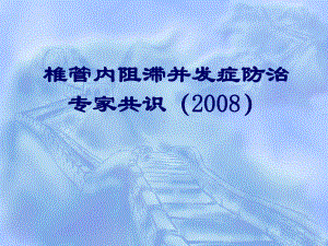 晨课椎管内阻滞并发症防治专家共识(2008)课件.ppt