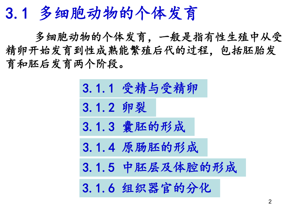 动物的生殖与发育课件.ppt_第2页