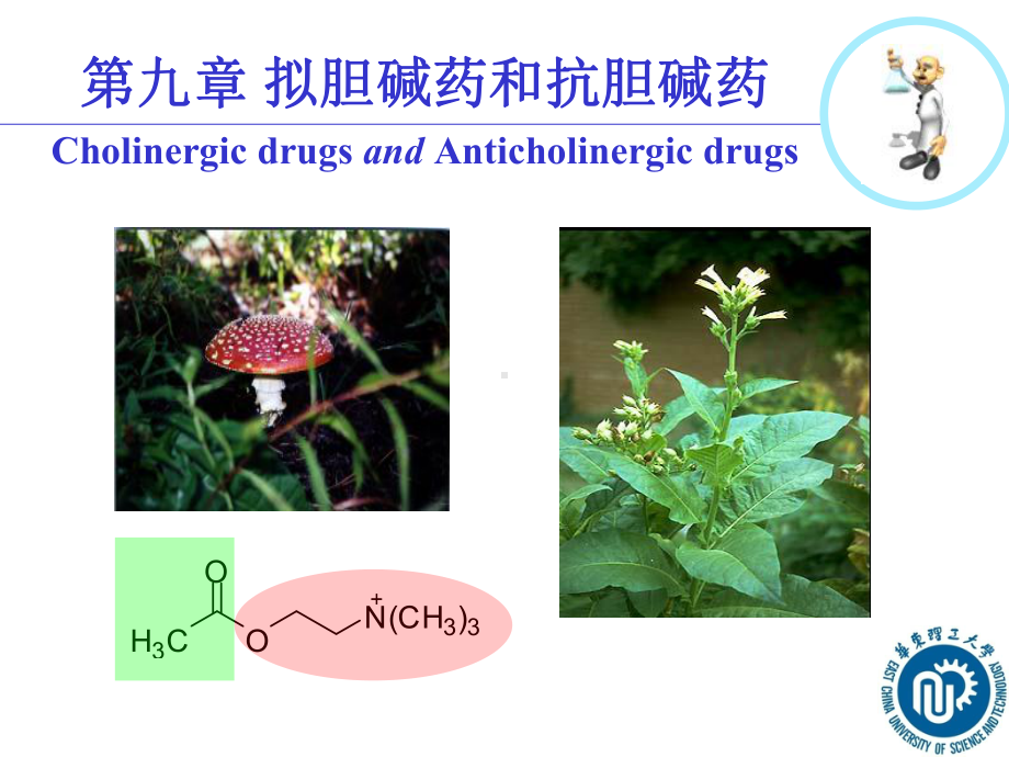 第十章拟胆碱药和抗胆碱药2011课件.ppt_第1页