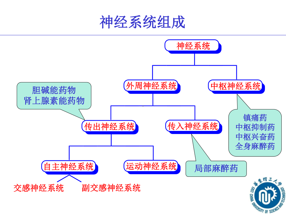 第十章拟胆碱药和抗胆碱药2011课件.ppt_第3页