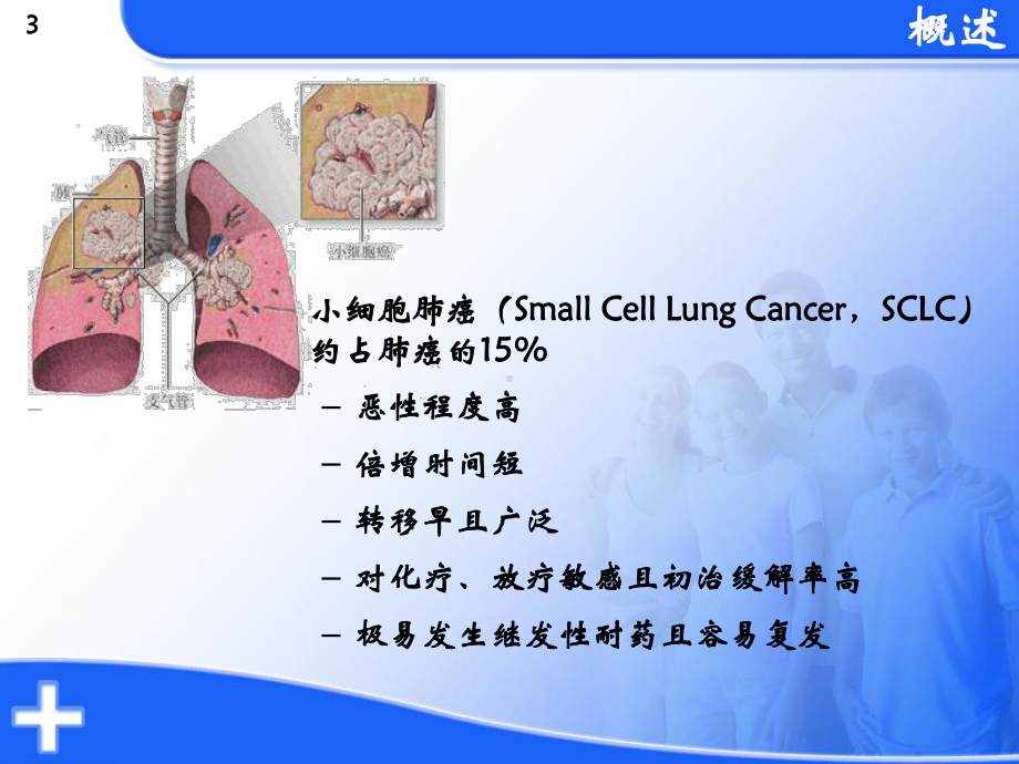 小细胞肺癌一线化疗课件.ppt_第3页