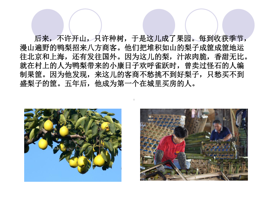 第一章物业管理概述课件整理.ppt_第3页