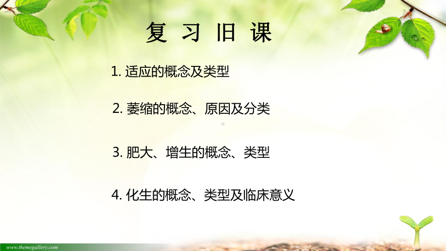 脂肪变性课件.ppt_第2页