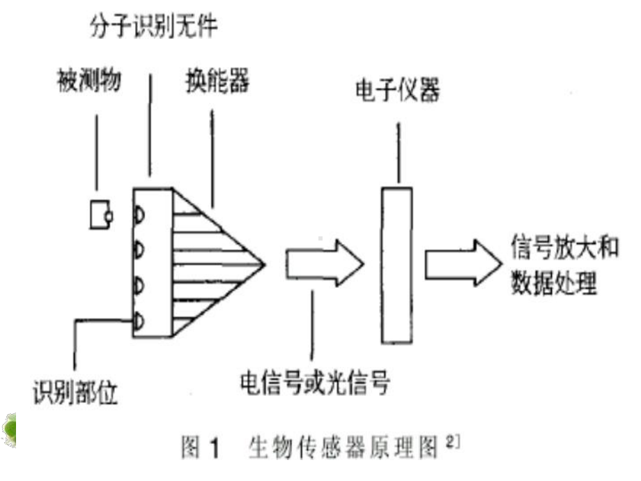 生化检测与控制生物传感器课件.ppt_第3页