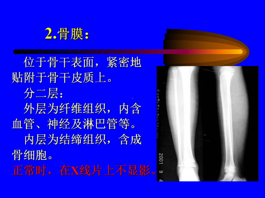 正常骨与关节课件.ppt_第3页