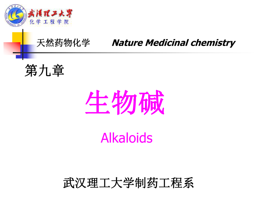 天然药物化学第9章生物碱Alkaloids课件.ppt_第1页