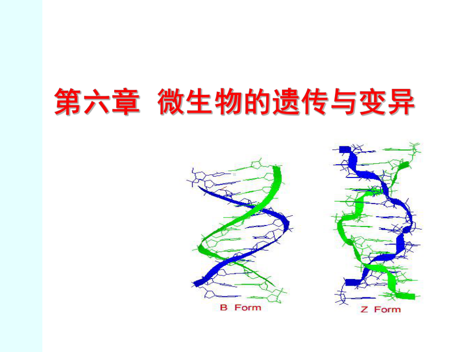 第六章++微生物的遗传与变异课件1.ppt_第1页