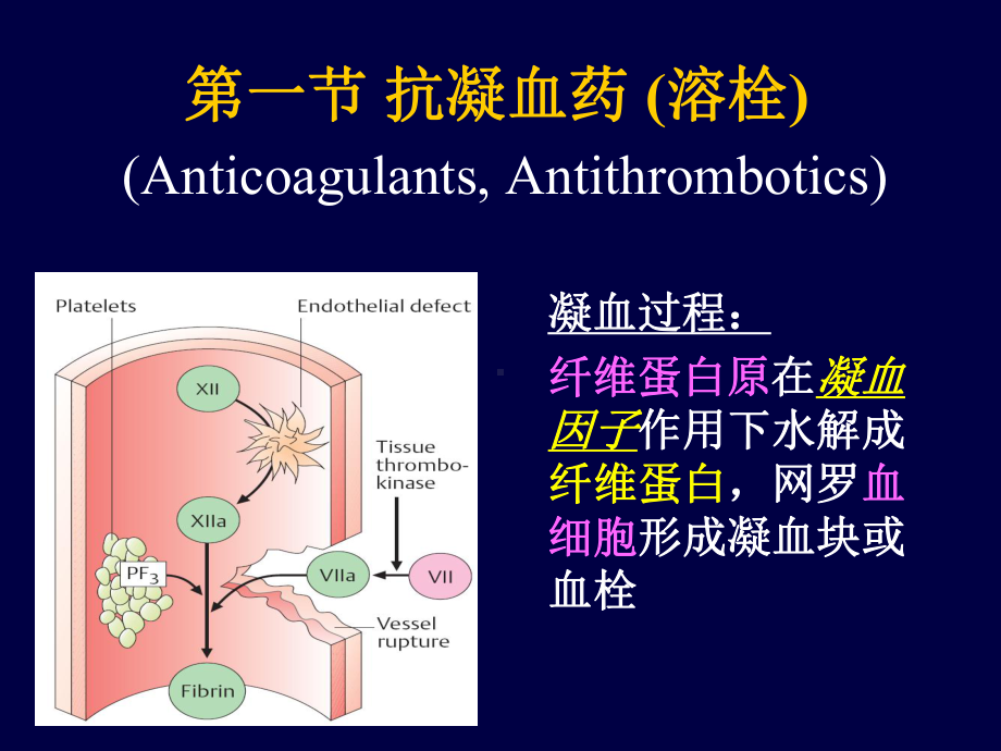 作用于血液和造血器官药物课件.ppt_第3页